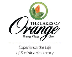 orange-logo